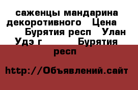 саженцы мандарина декоротивного › Цена ­ 350 - Бурятия респ., Улан-Удэ г.  »    . Бурятия респ.